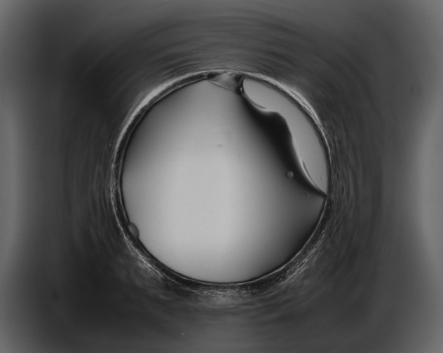 X0000086960895200705071333
