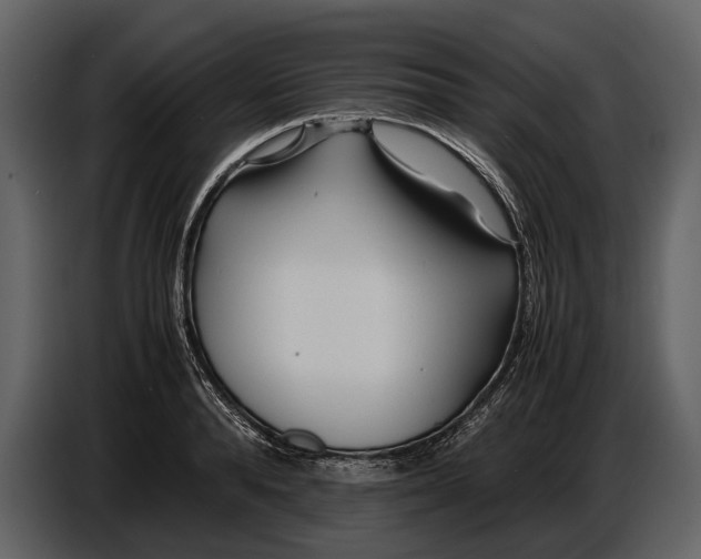 X0000086960896200705071333