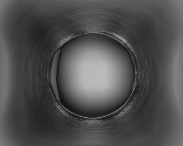 X0000086960897200705071333