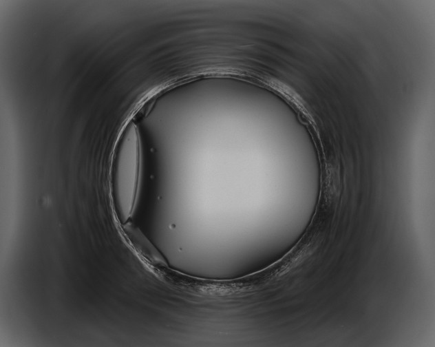 X0000086960898200705071333