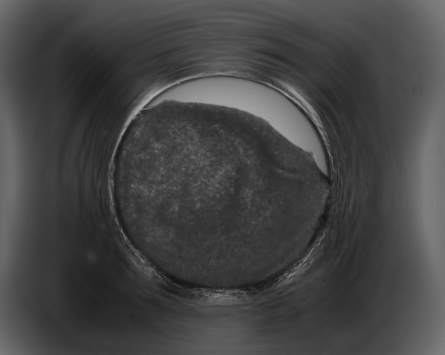 X0000086960899200705071333