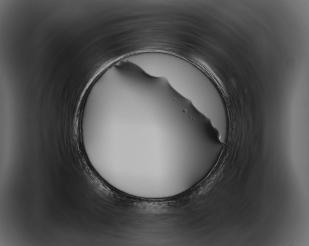 X0000086960900200705071333