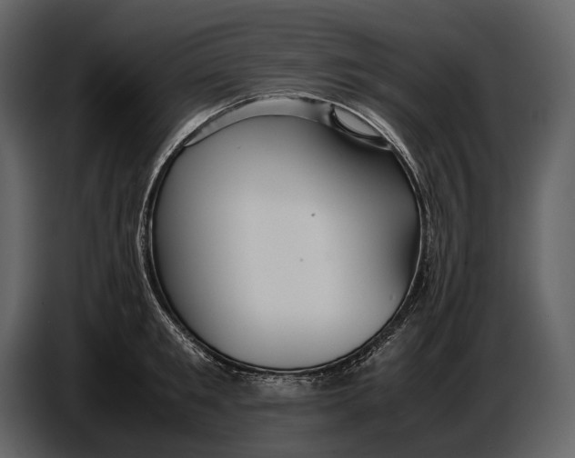 X0000086960901200705071333