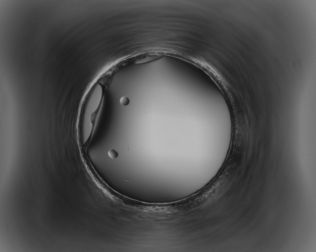 X0000086960902200705071333