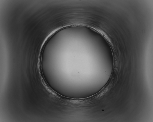 X0000086960904200705071333