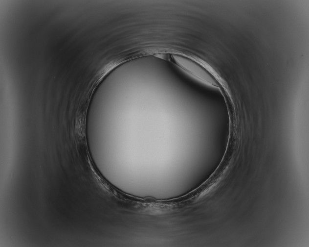 X0000086960905200705071333