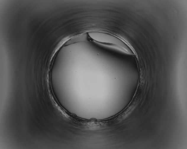 X0000086960906200705071333