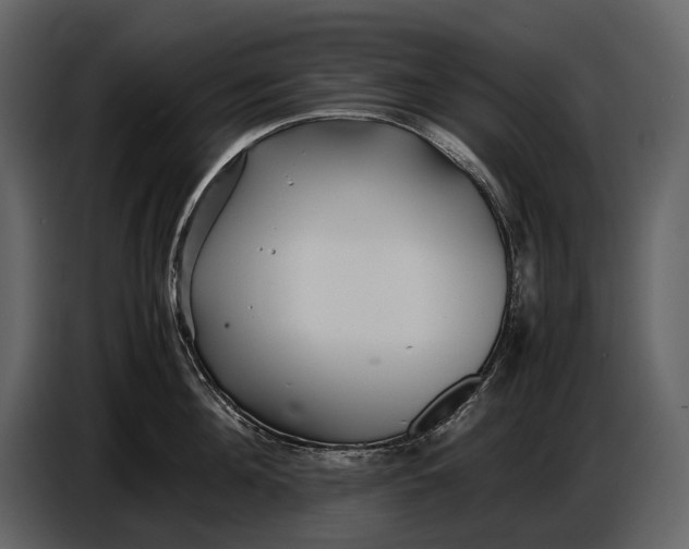 X0000086960908200705071333