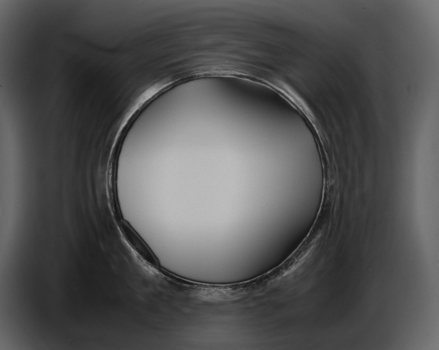 X0000086960909200705071333