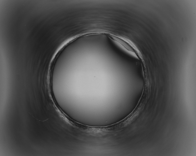 X0000086960910200705071333