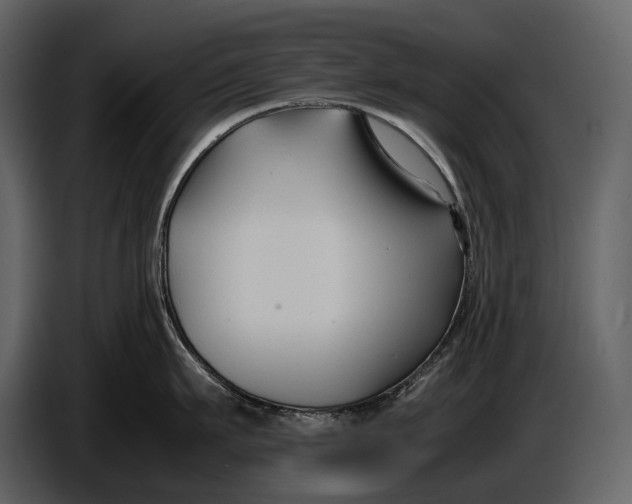 X0000086960911200705071333