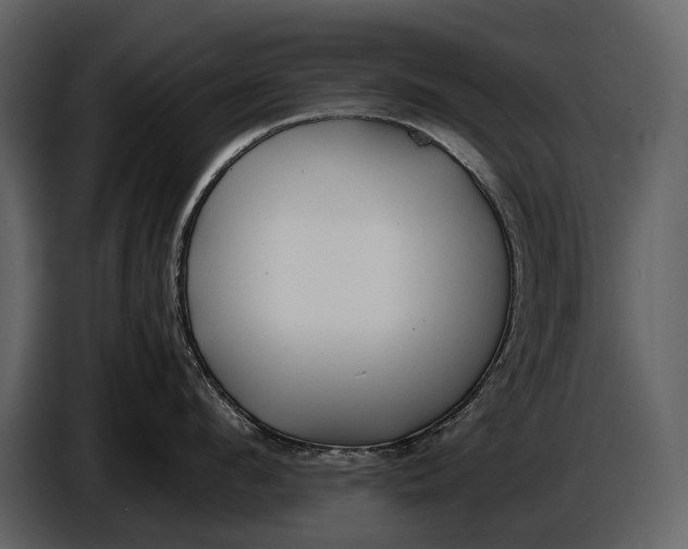 X0000086960912200705071333