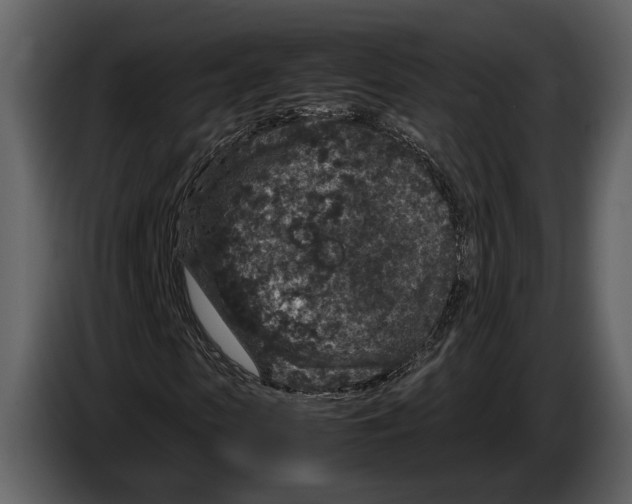 X0000086960913200705071333
