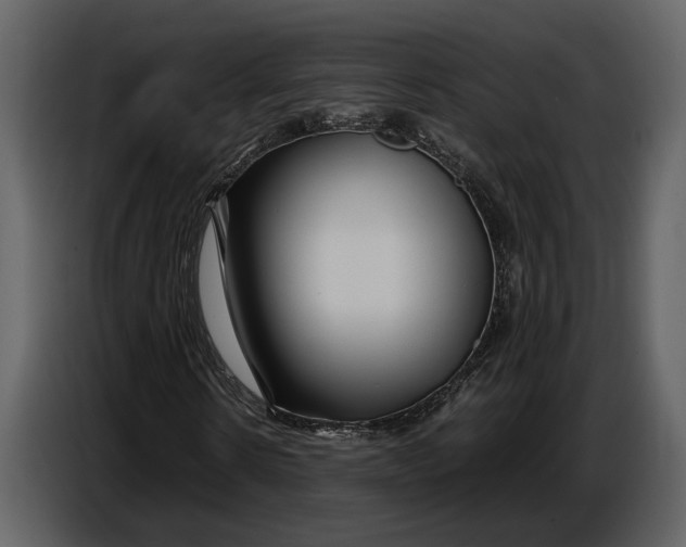 X0000086960914200705071333