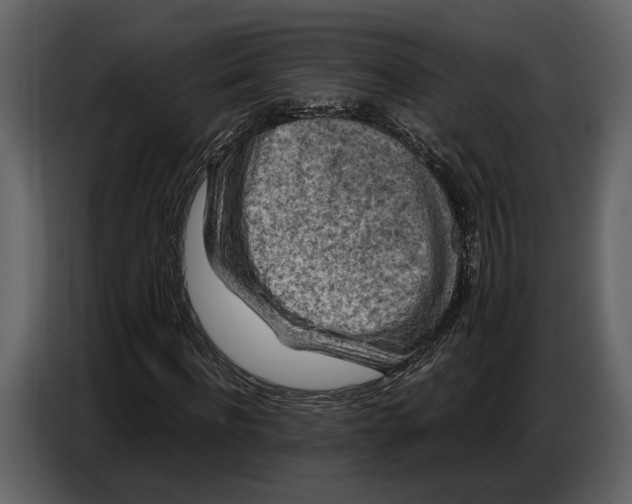 X0000086960916200705071333