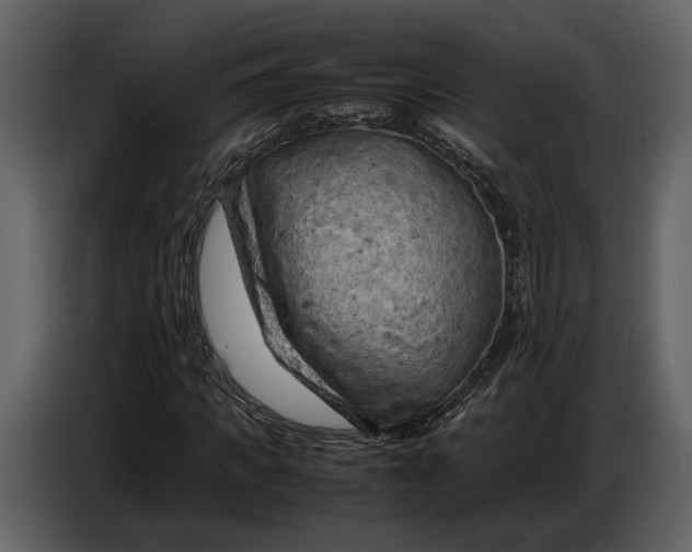 X0000086960917200705071333