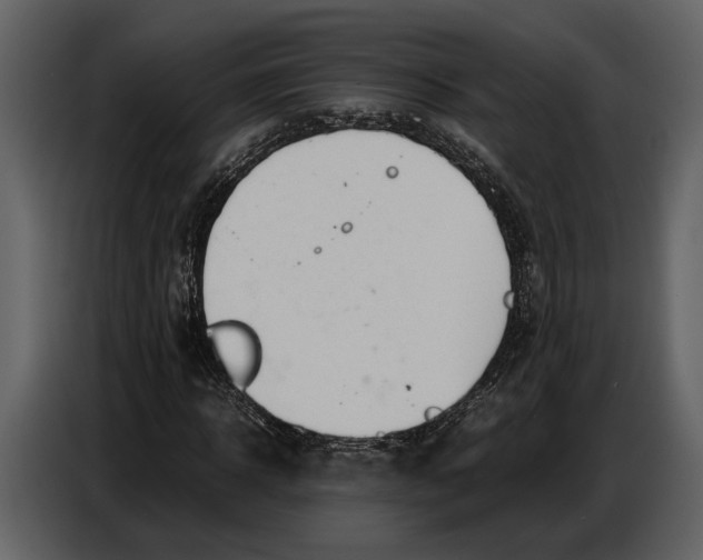 X0000086960918200705071333