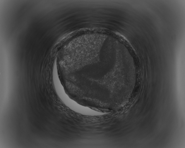 X0000086960919200705071333