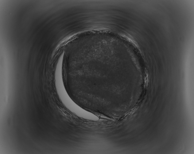 X0000086960920200705071333