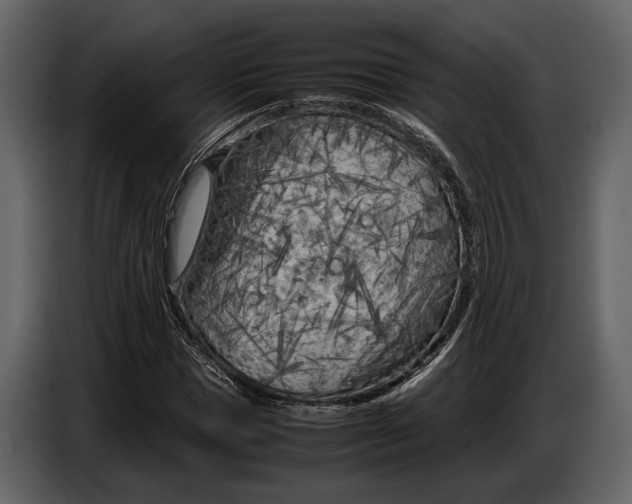 X0000086960921200705071333