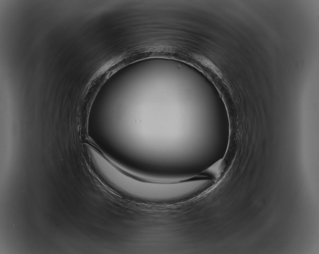 X0000086960922200705071333