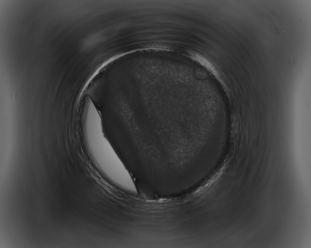 X0000086960923200705071333
