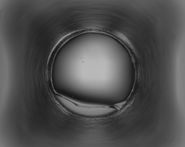 X0000086960924200705071333