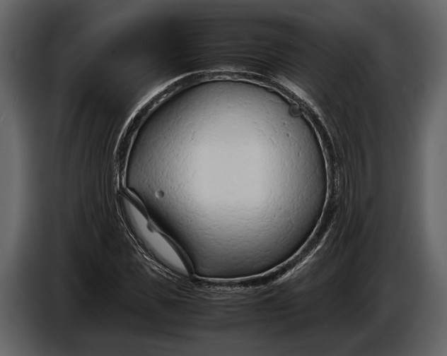 X0000086960925200705071333