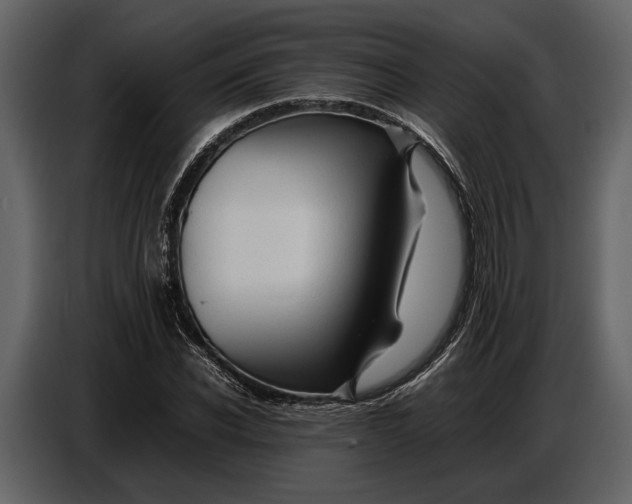 X0000086960926200705071333