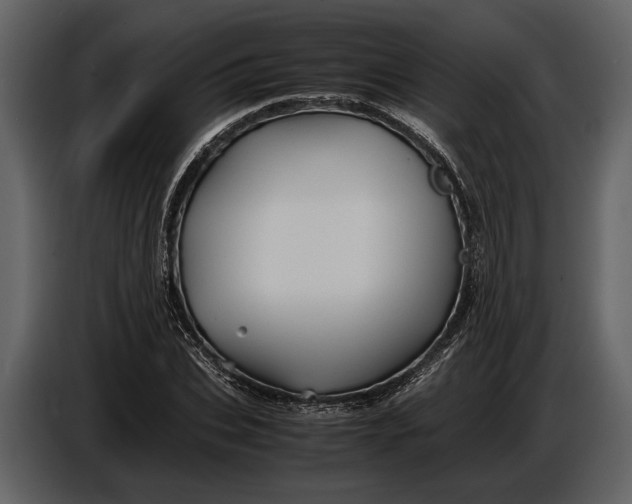 X0000086960927200705071333