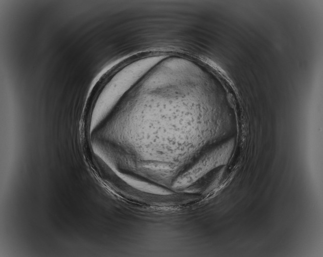 X0000086960928200705071333