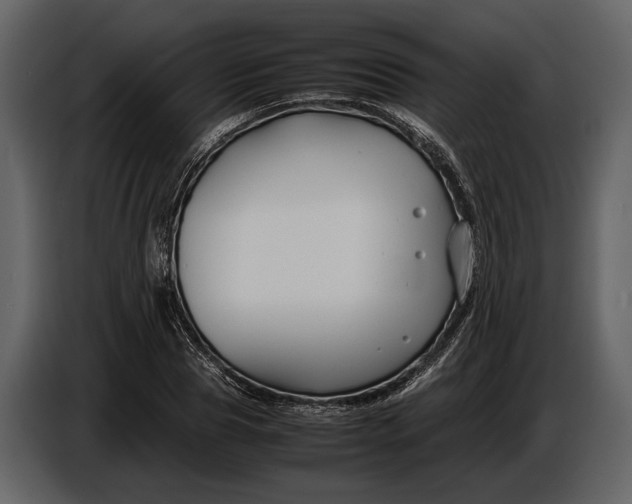 X0000086960929200705071333