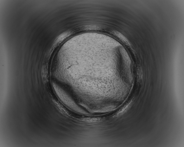 X0000086960930200705071333