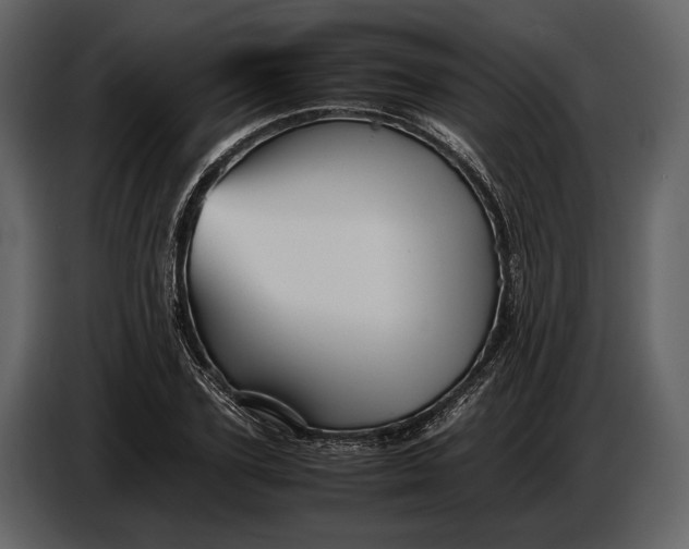X0000086960931200705071333