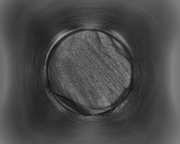 X0000086960932200705071333