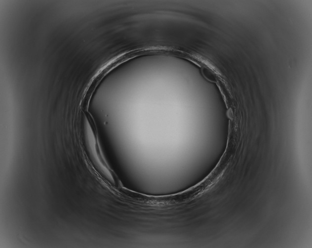 X0000086960933200705071333