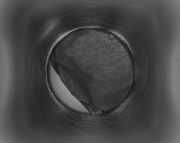 X0000086960935200705071333