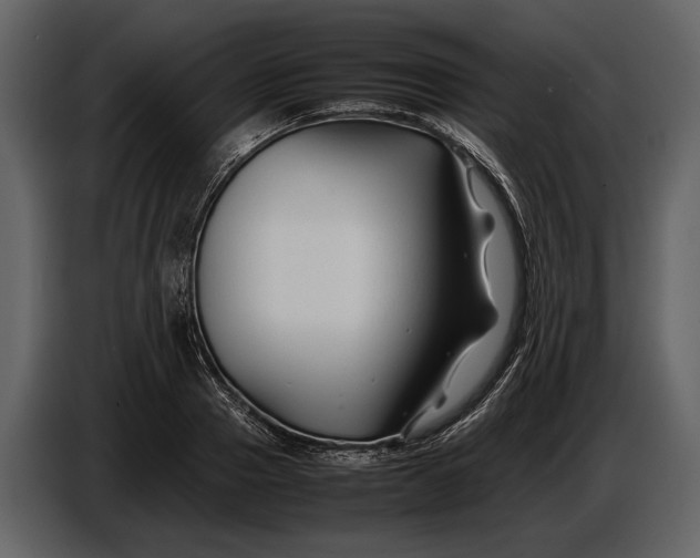 X0000086960937200705071333