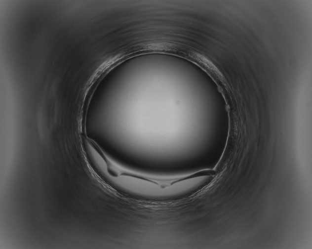 X0000086960938200705071333