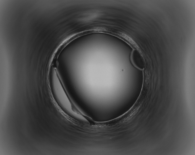 X0000086960939200705071333