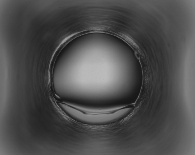 X0000086960940200705071333