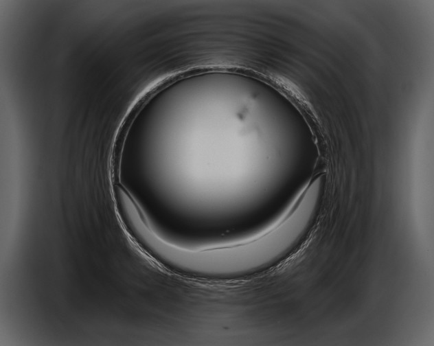 X0000086960942200705071333