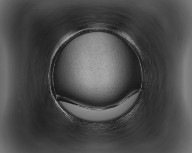 X0000086960943200705071333