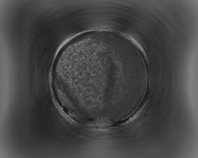X0000086960944200705071333
