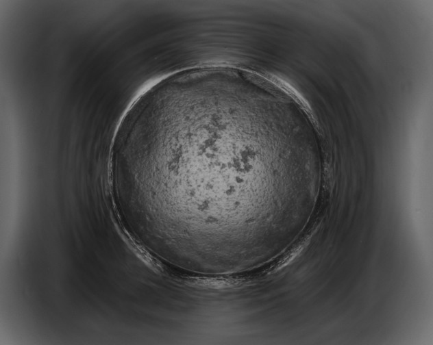 X0000086960948200705071333