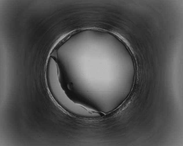 X0000086960949200705071333