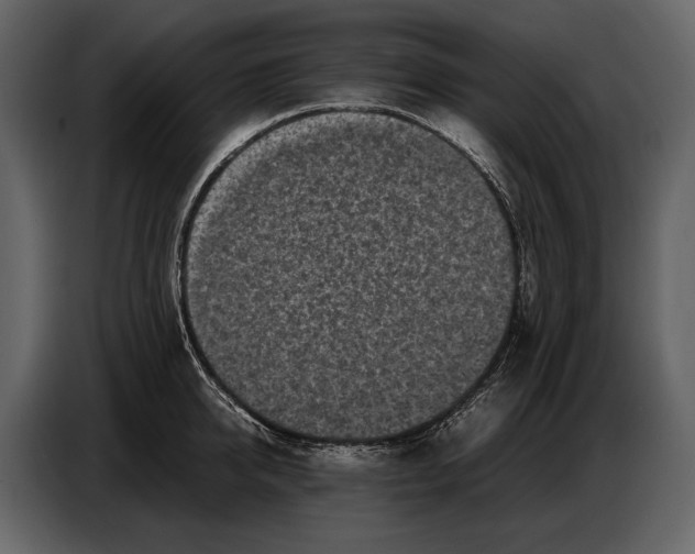 X0000086960950200705071333