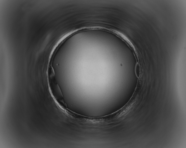 X0000086960951200705071333