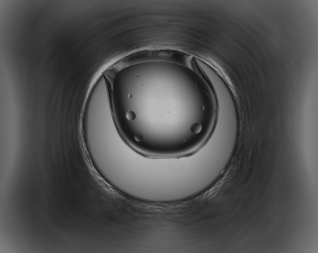 X0000086960952200705071333