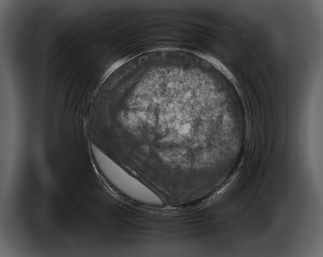 X0000086960953200705071333